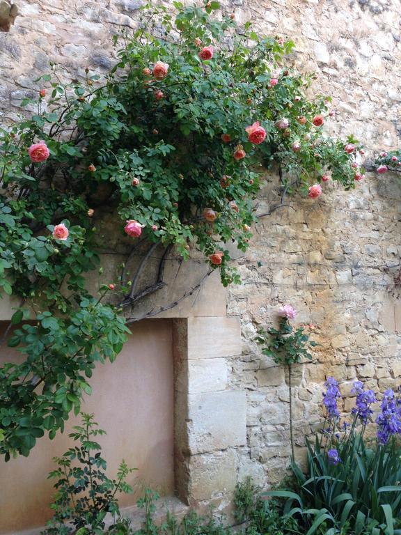 La Forge Bed & Breakfast Rustrel Luaran gambar