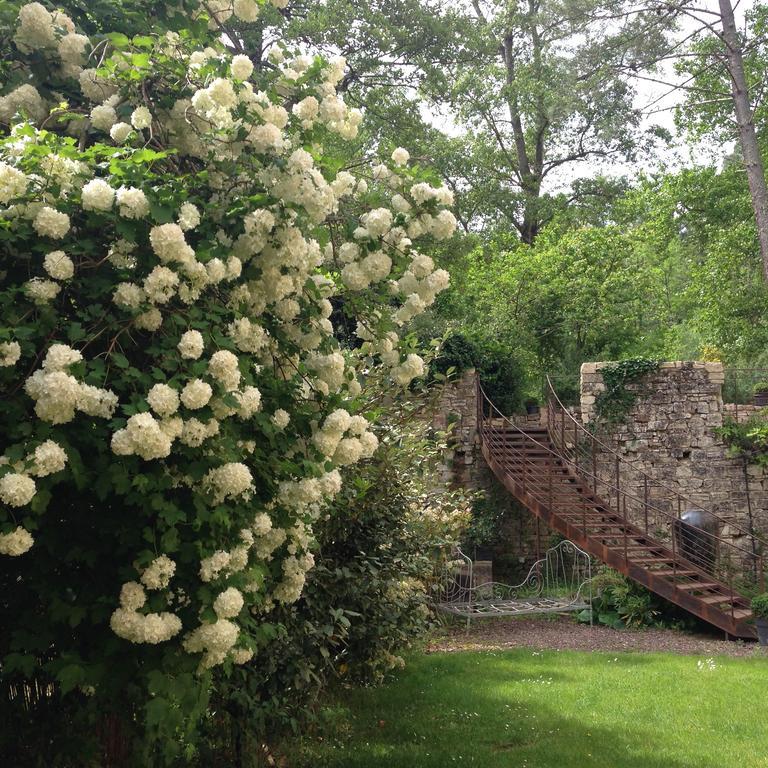 La Forge Bed & Breakfast Rustrel Luaran gambar